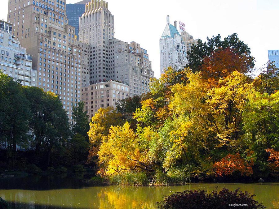 Central Park NY Fall colors leaves changing