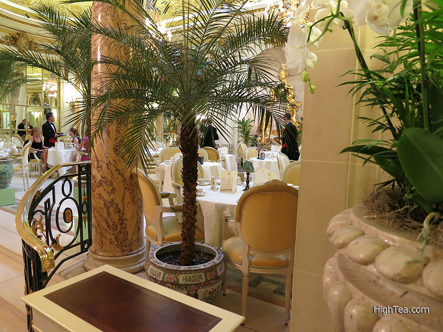 Palm Tree at The Palm Court of The Ritz London Hotel